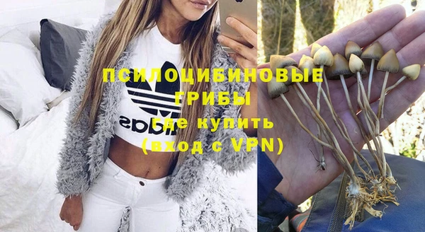 a pvp Алзамай
