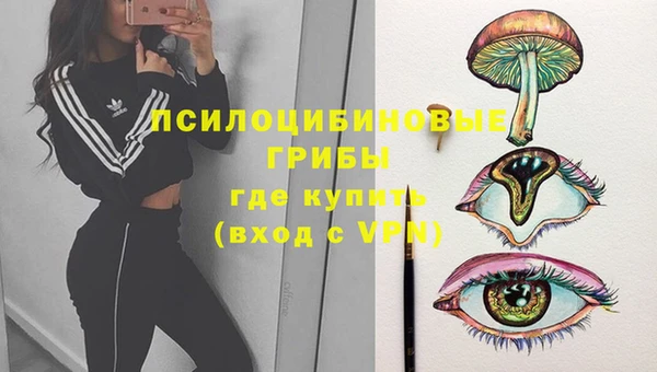 a pvp Алзамай